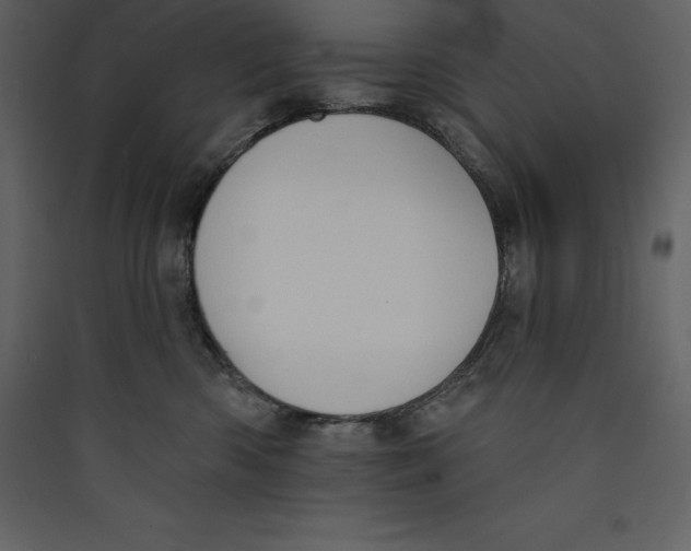 X0000089420426200707131826