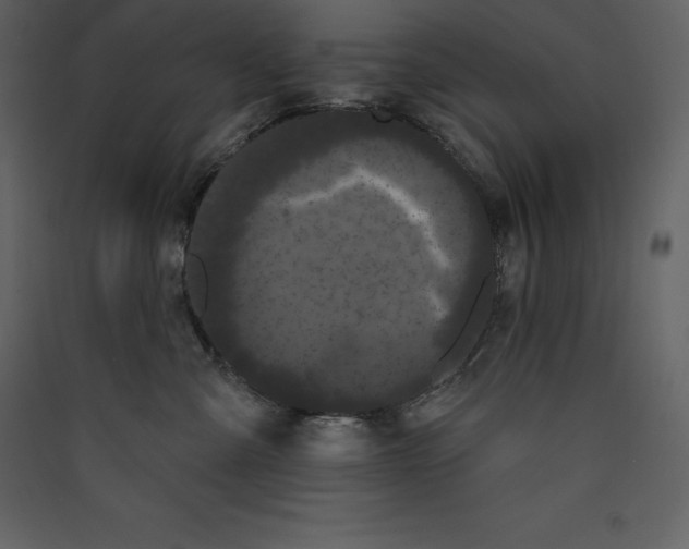 X0000089420427200707131826