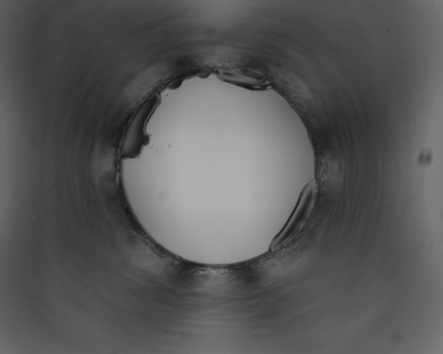 X0000089420428200707131826