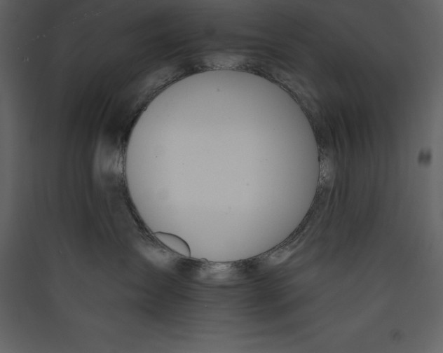 X0000089420431200707131826