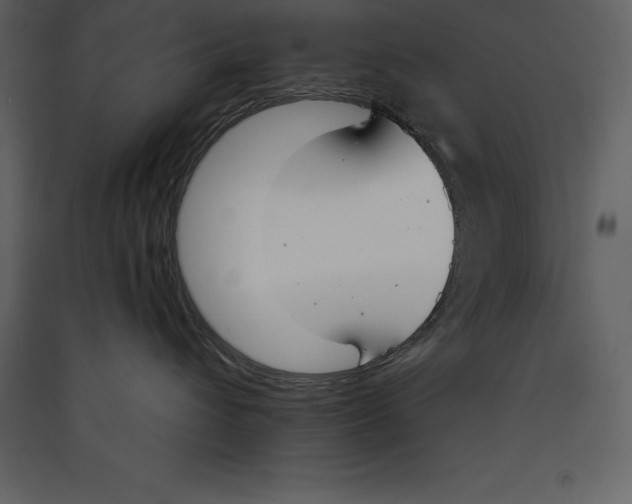 X0000089420432200707131826