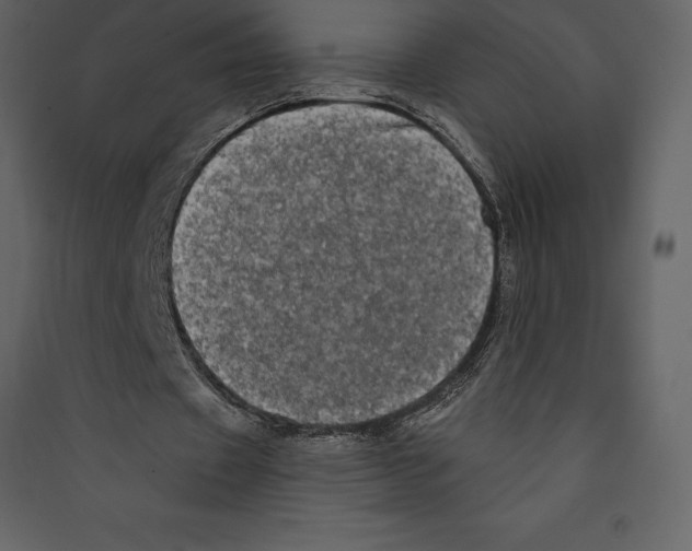 X0000089420433200707131826