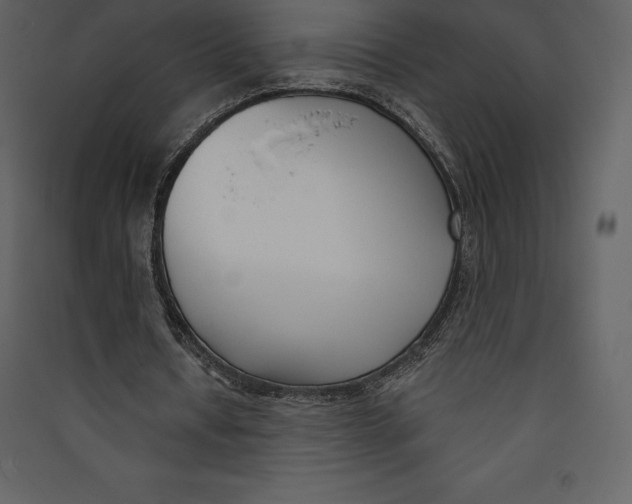X0000089420434200707131826