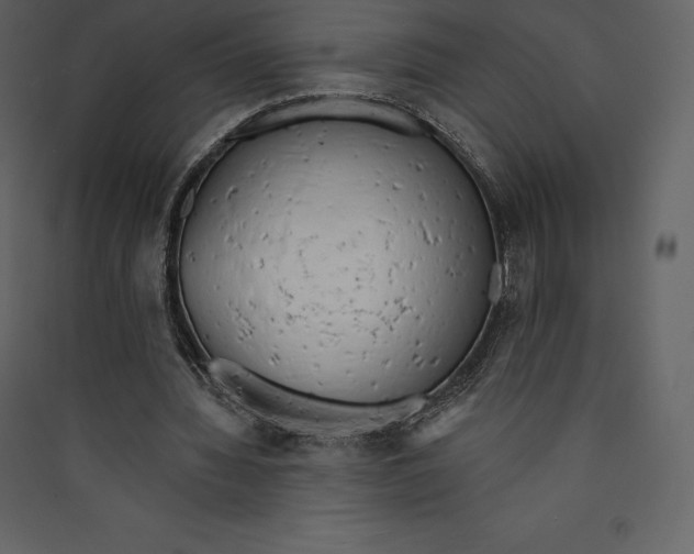 X0000089420436200707131826