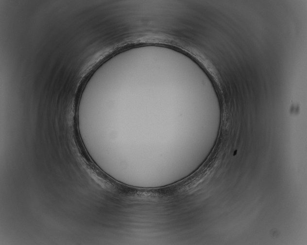X0000089420437200707131826