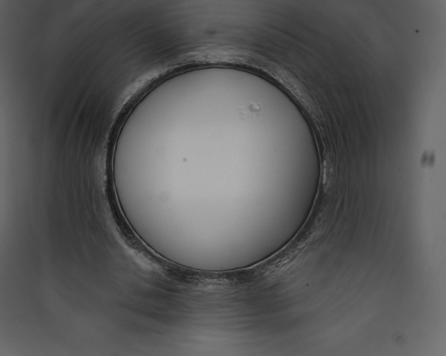 X0000089420438200707131826