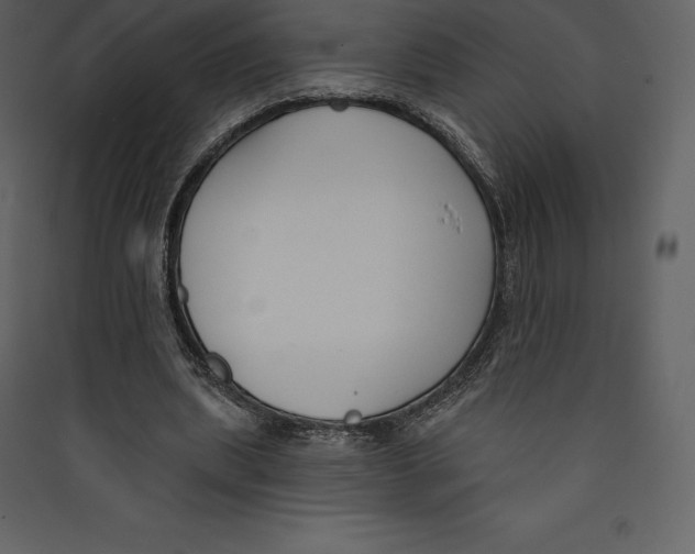 X0000089420439200707131826