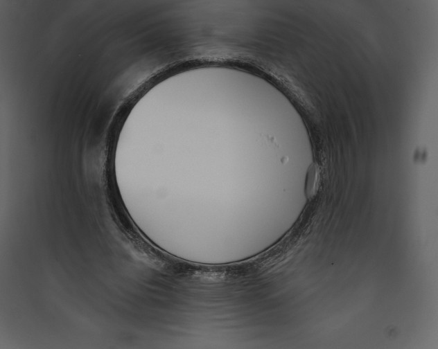 X0000089420440200707131826