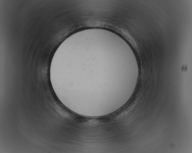 X0000089420441200707131826