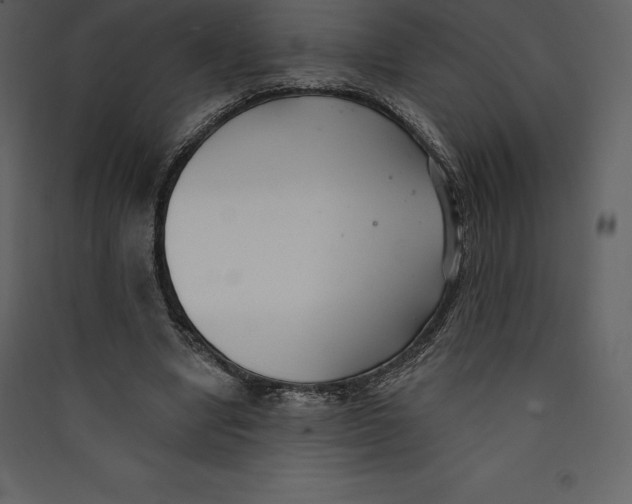 X0000089420442200707131826