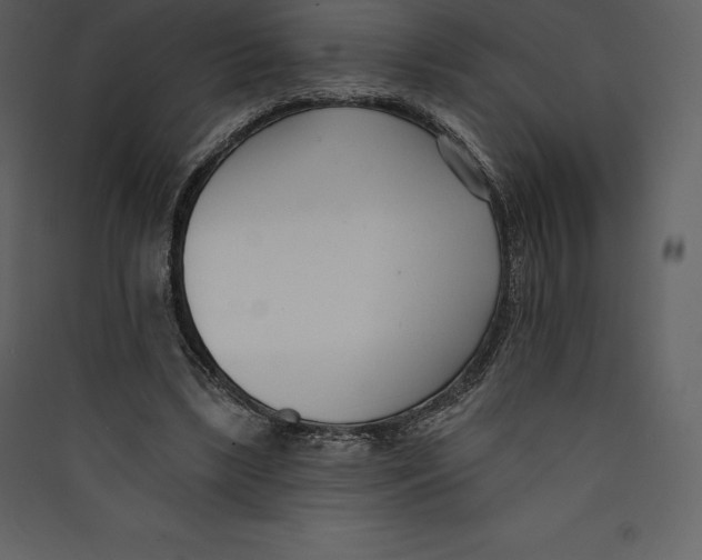 X0000089420443200707131826