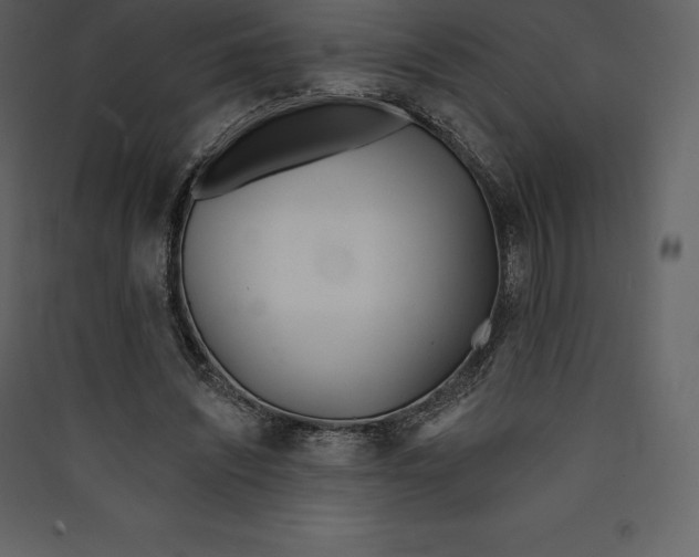 X0000089420444200707131826