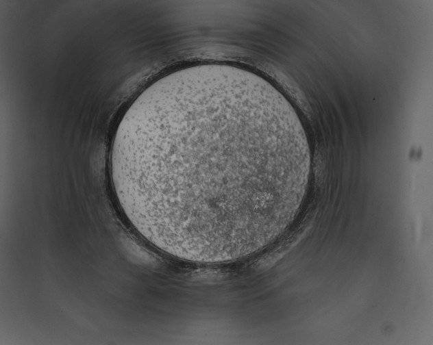 X0000089420445200707131826