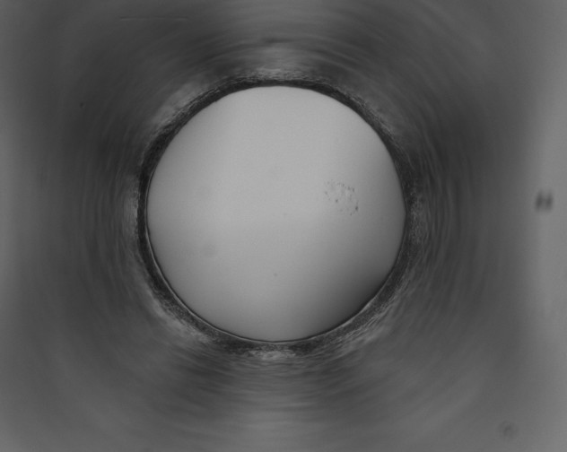 X0000089420446200707131826