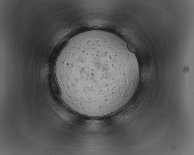 X0000089420448200707131826