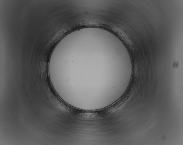 X0000089420449200707131826