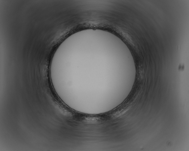 X0000089420450200707131826