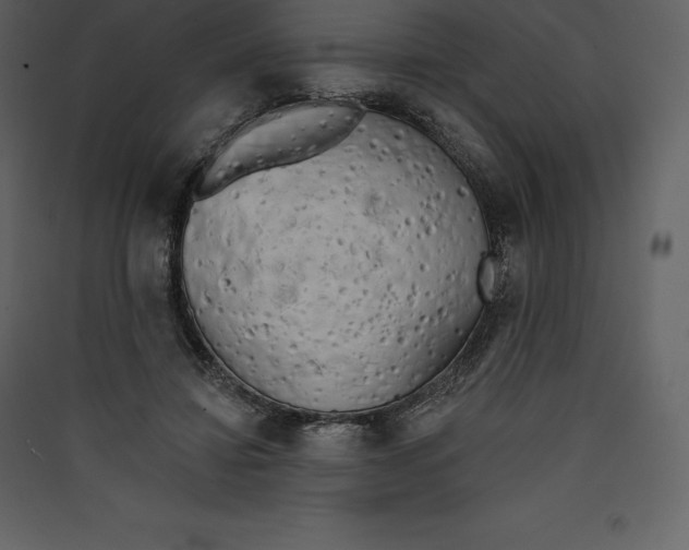 X0000089420452200707131826