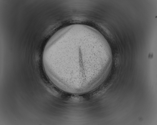 X0000089420455200707131826