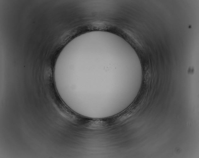 X0000089420459200707131826