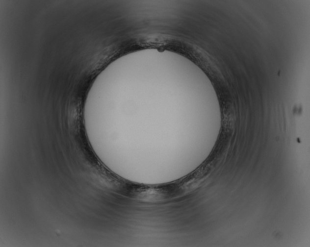 X0000089420460200707131826