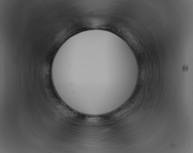 X0000089420461200707131826