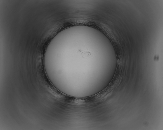 X0000089420462200707131826