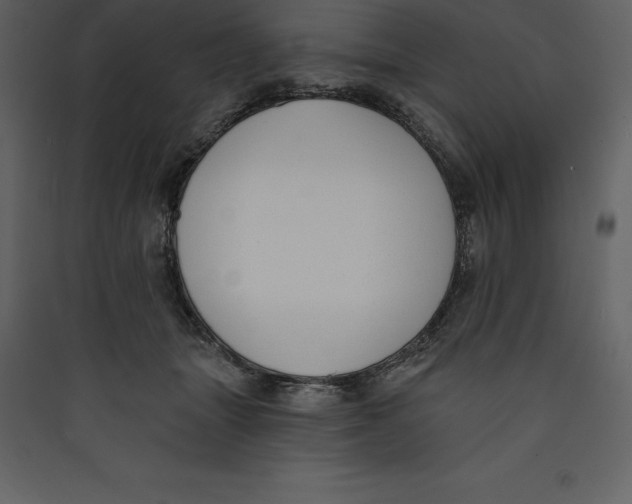 X0000089420463200707131826