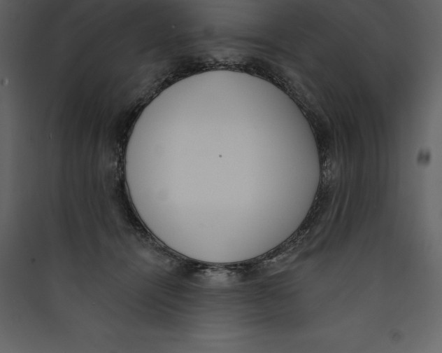 X0000089420464200707131826