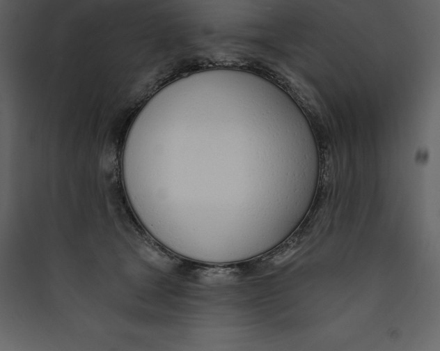 X0000089420465200707131826