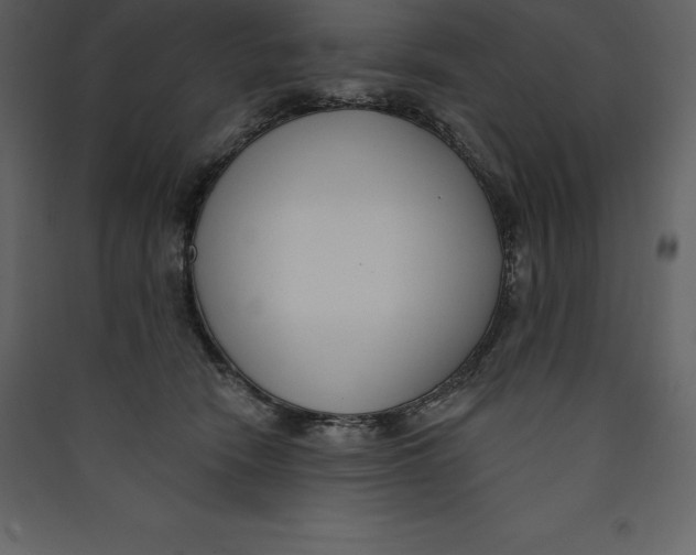 X0000089420466200707131826
