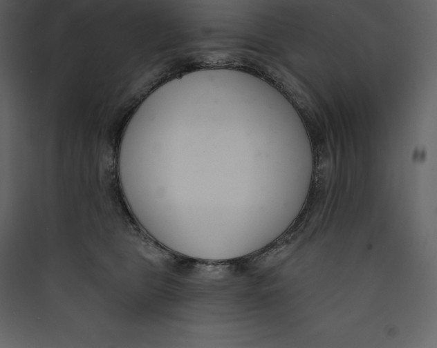 X0000089420469200707131826
