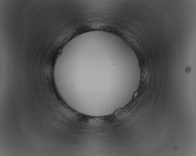X0000089420470200707131826