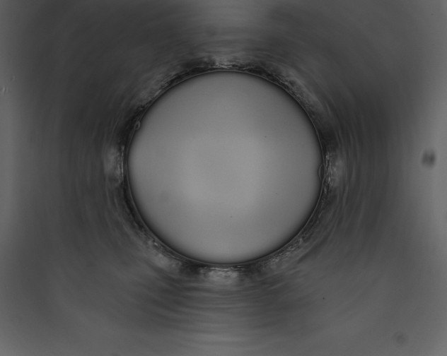 X0000089420471200707131826