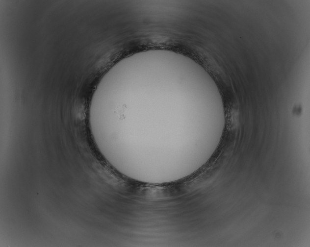 X0000089420472200707131826
