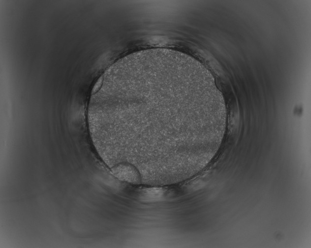 X0000089420473200707131826