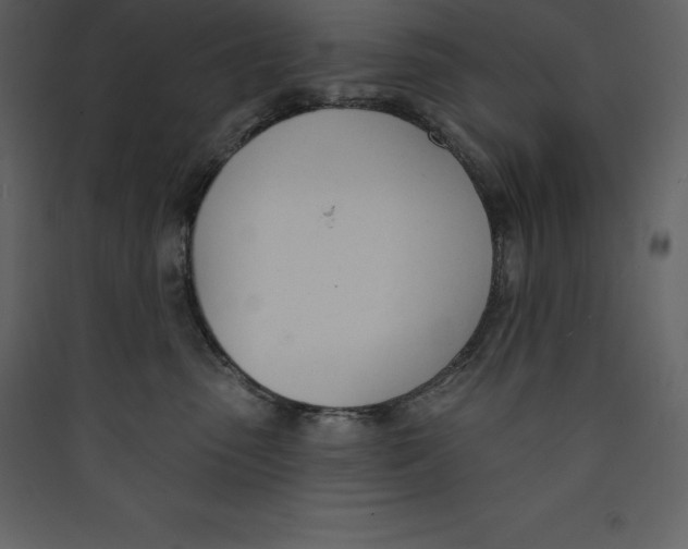 X0000089420475200707131826