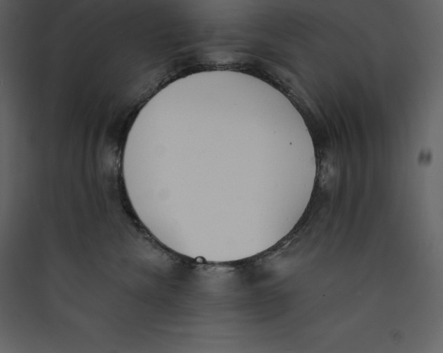 X0000089420476200707131826