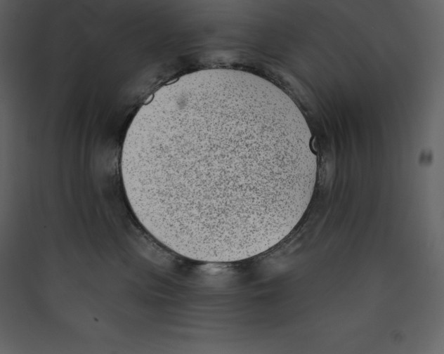 X0000089420477200707131826
