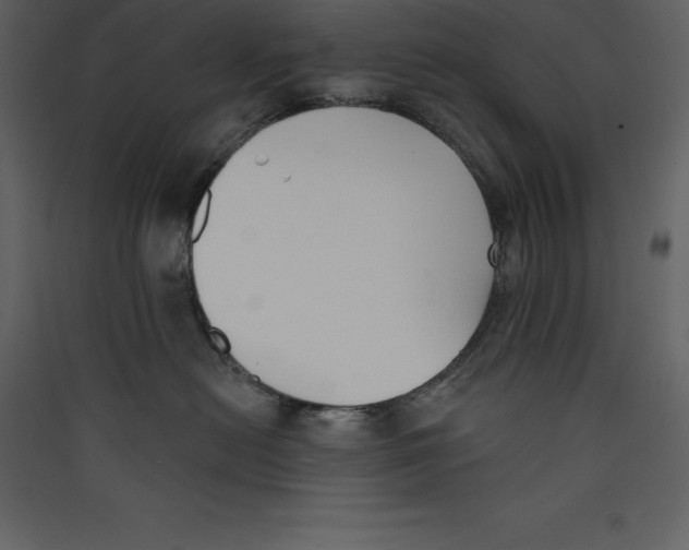 X0000089420478200707131826