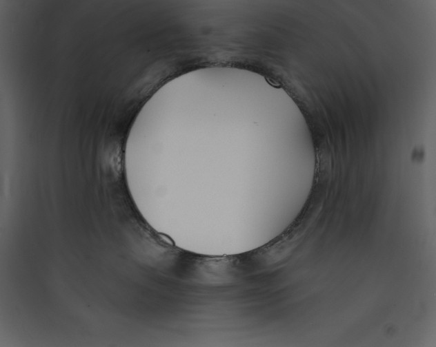 X0000089420479200707131826