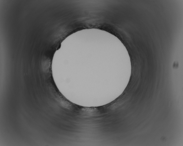 X0000089420480200707131826
