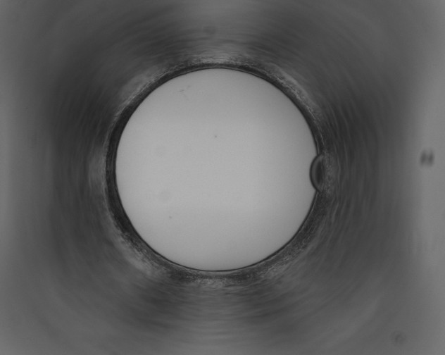 X0000089420482200707131826