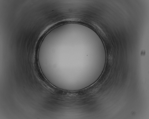 X0000089420484200707131826