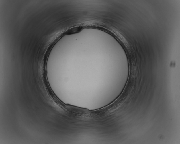 X0000089420485200707131826