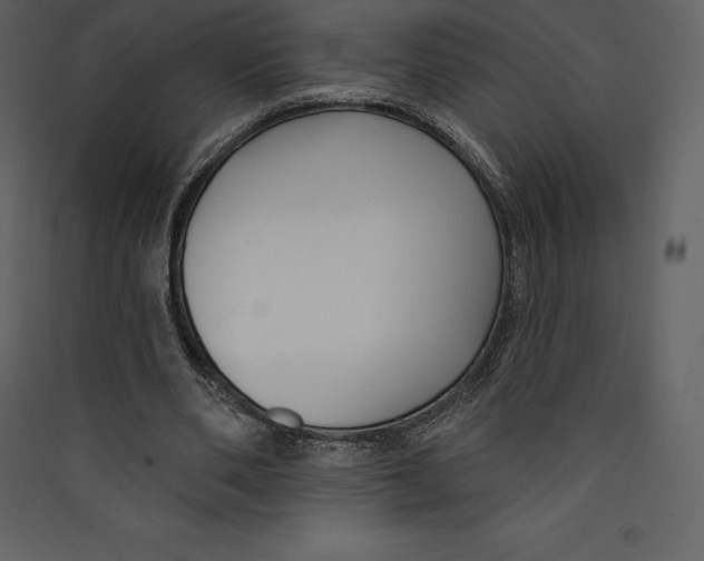X0000089420486200707131826