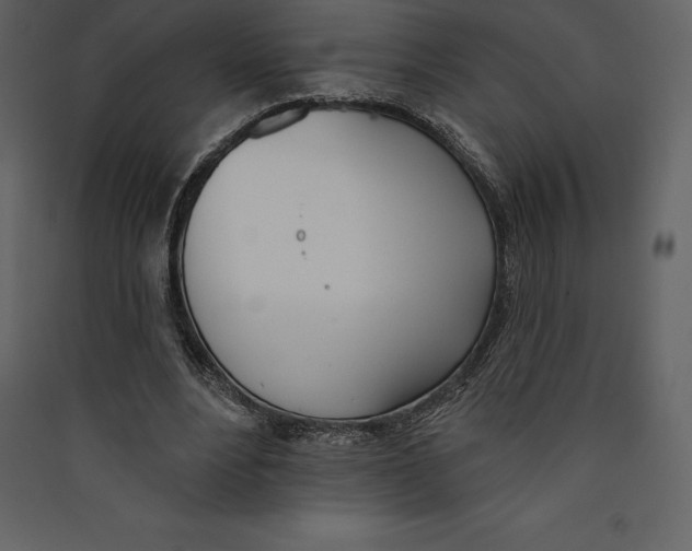 X0000089420488200707131826