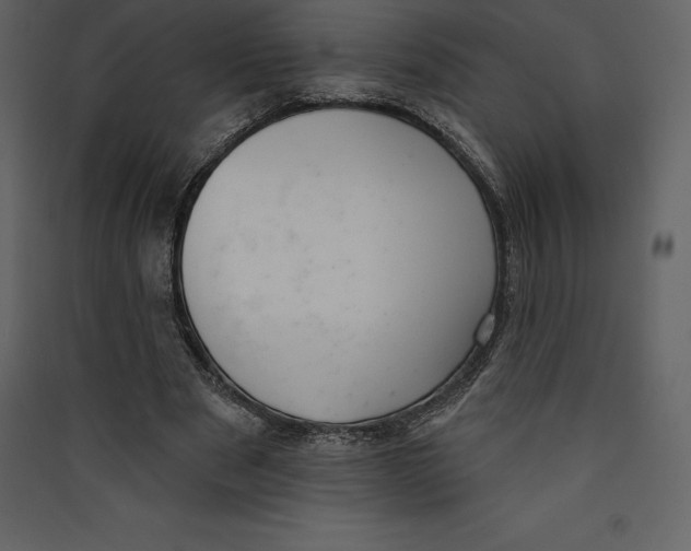 X0000089420489200707131825