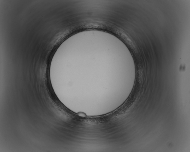 X0000089420490200707131825