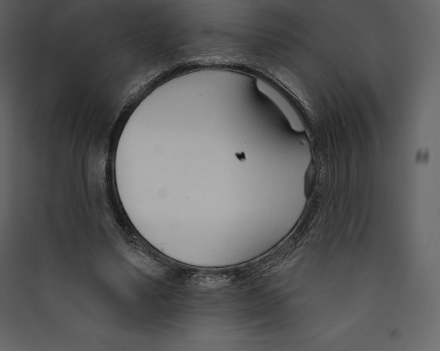 X0000089420491200707131825